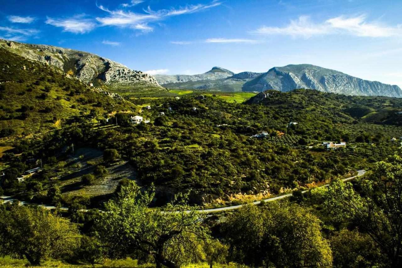 Casa Rural El Chaparro 엘 초로 외부 사진